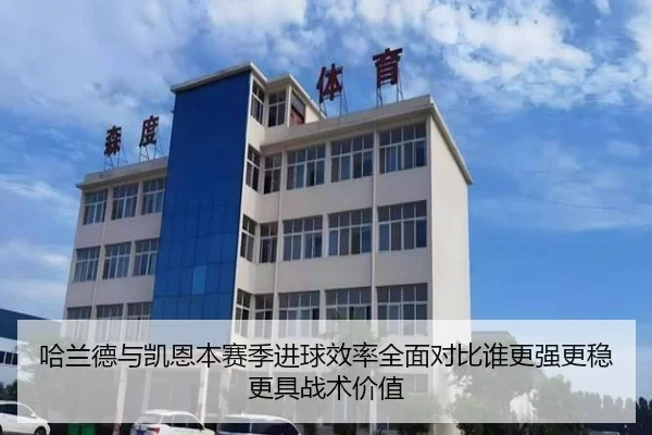 哈兰德与凯恩本赛季进球效率全面对比谁更强更稳更具战术价值