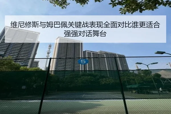 维尼修斯与姆巴佩关键战表现全面对比谁更适合强强对话舞台