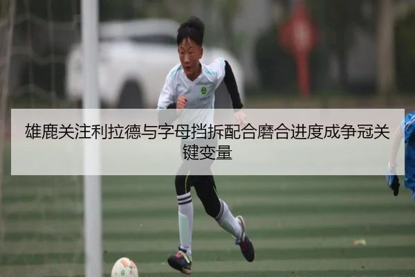 雄鹿关注利拉德与字母挡拆配合磨合进度成争冠关键变量
